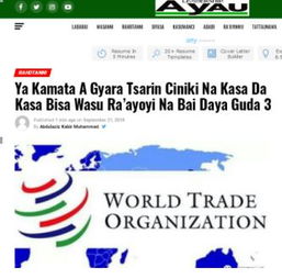 共建更公平、高效、包容的國(guó)際經(jīng)貿(mào)新秩序 基于三點(diǎn)共識(shí)的改革路徑